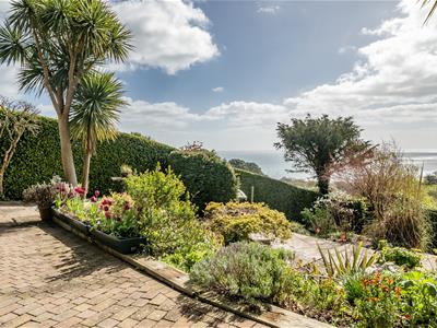 Picture 26